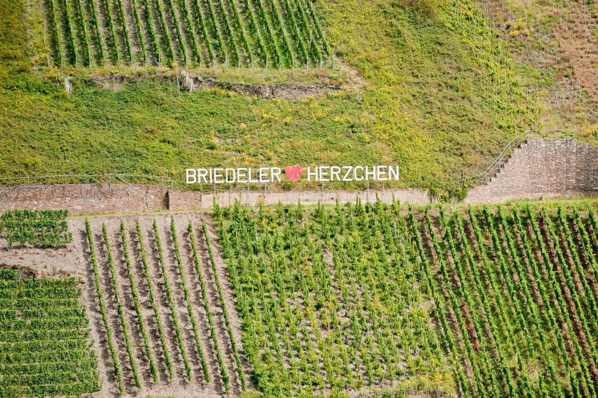Wein- Und Sektgut Markus Hensler Briedel Extérieur photo